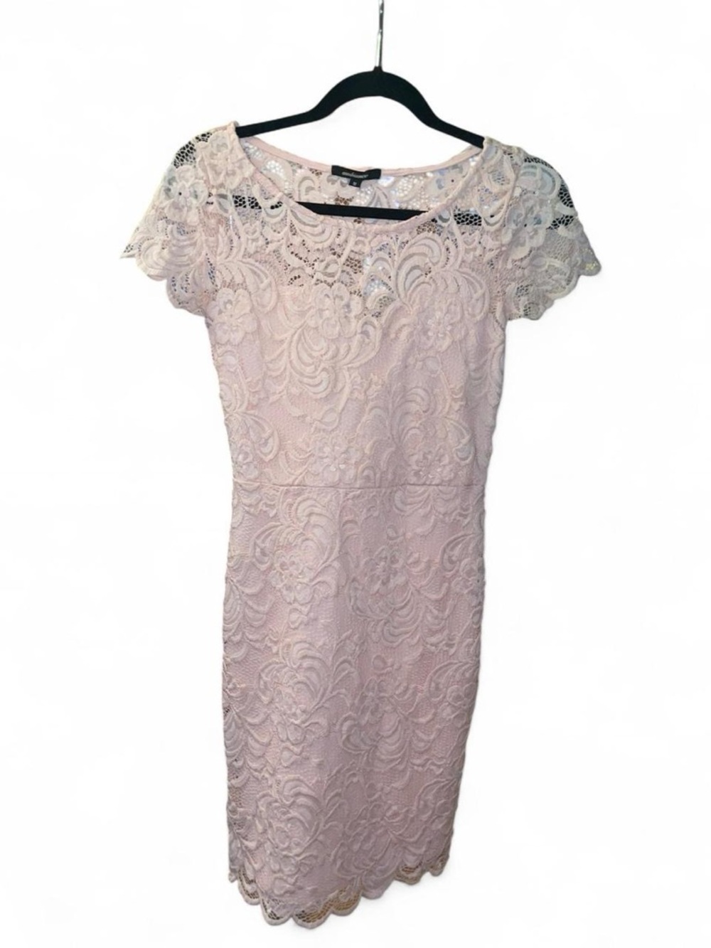 Ambiance Blush Pink Floral Lace Mini Dress - Short Sleeve Scalloped Hem - Size M
